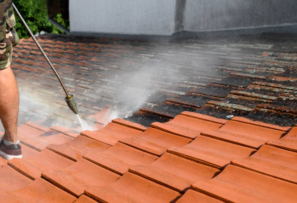 Local Pressure Washing Services in Guntersville, AL