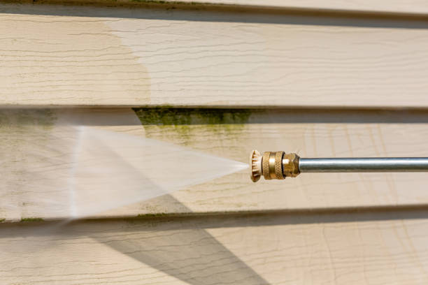 Best House Pressure Washing  in Guntersville, AL