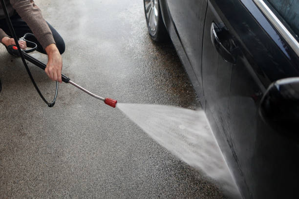 Best Roof Pressure Washing  in Guntersville, AL